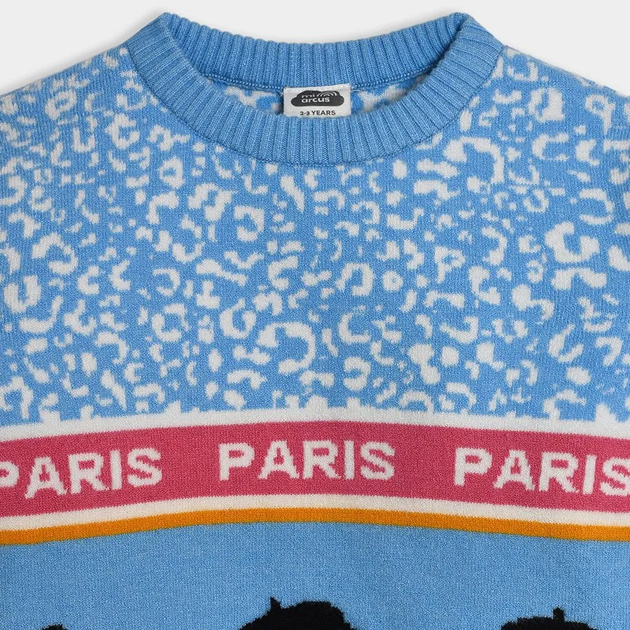 Bonjour Fuzzy Sweater & Skirt Set