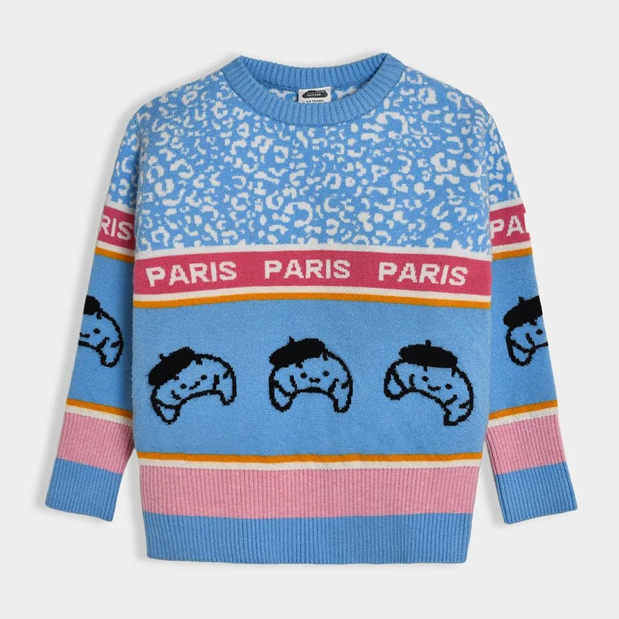 Bonjour Fuzzy Sweater & Skirt Set